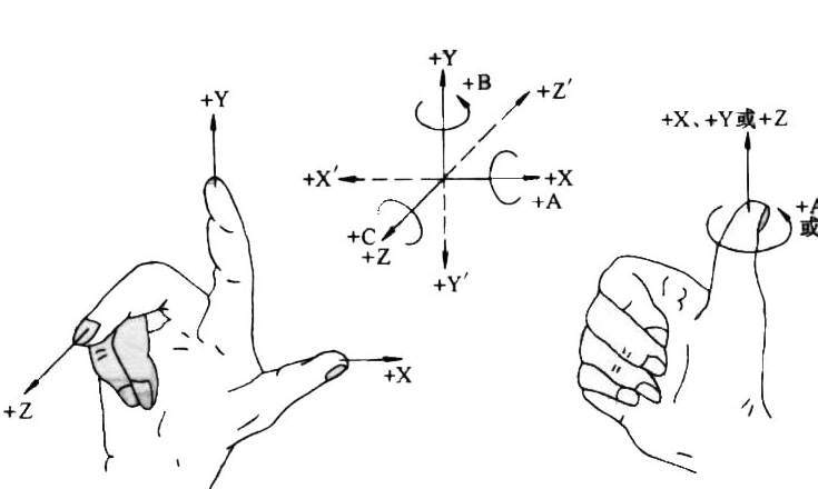 右手直角笛卡尔坐标系